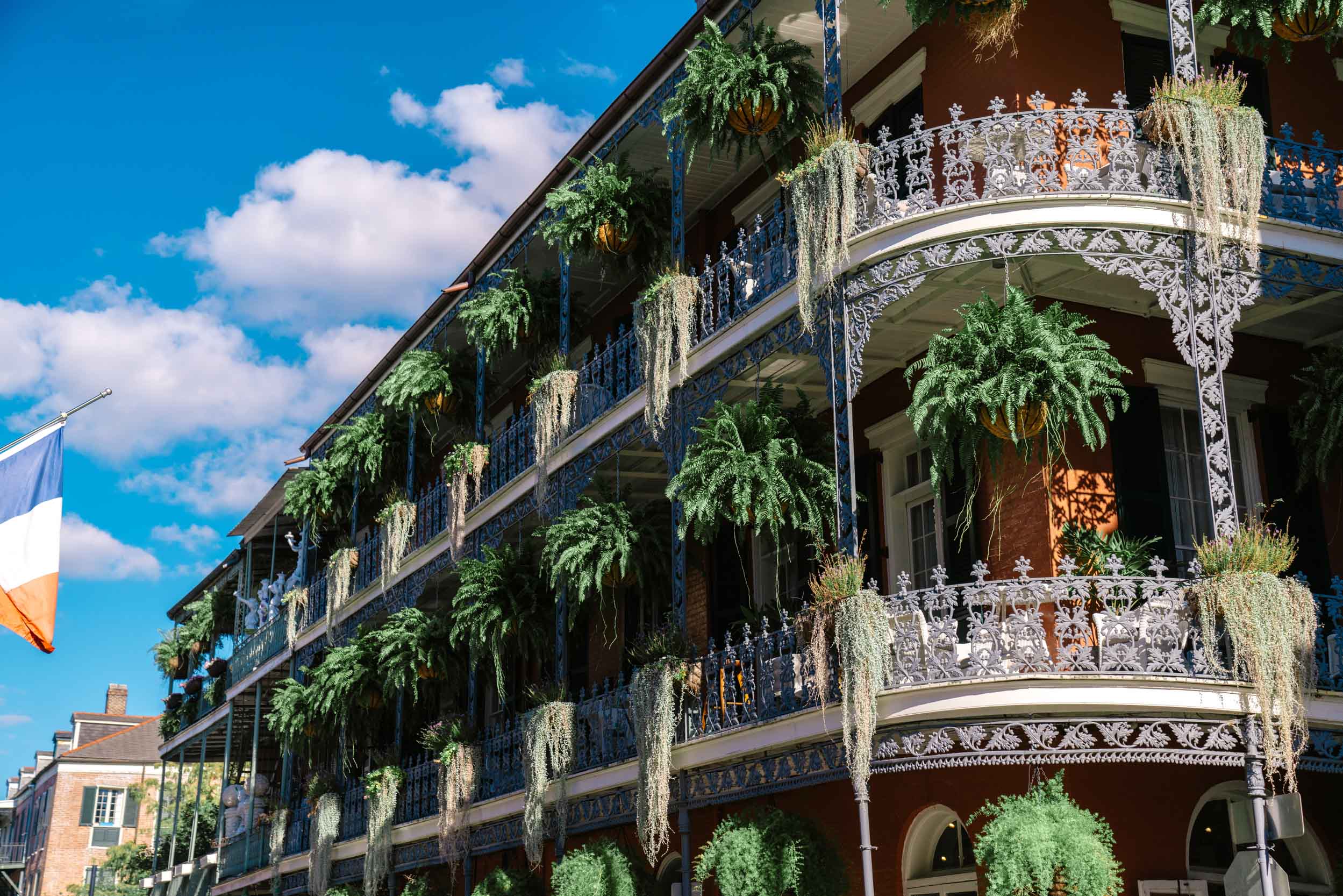 historical building in the New Orleans French Quarter with ferns and spanish moss hanging from wrought iron balconies