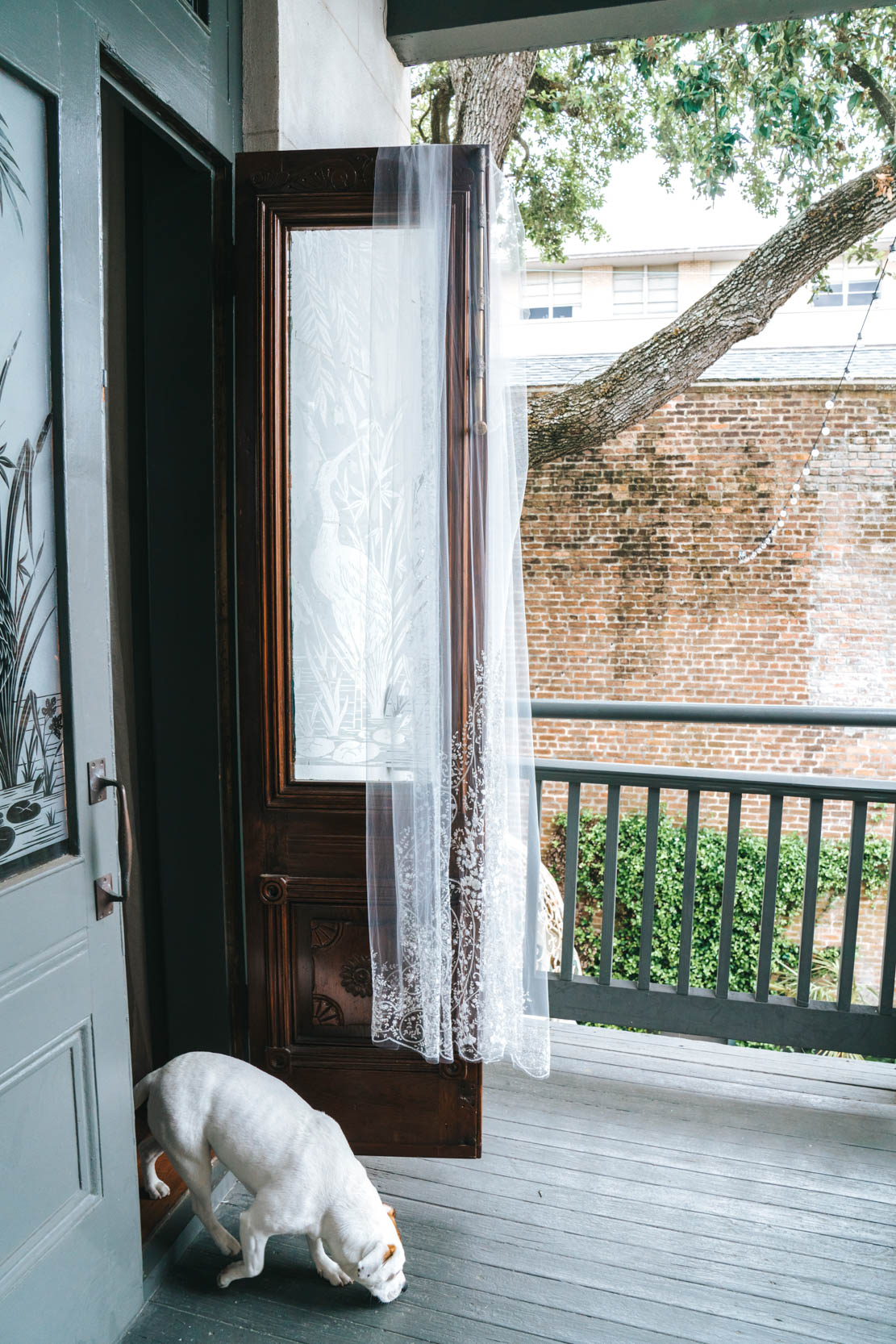 puppy dog walking around wedding dress and wedding veil hanging on balcony at Margaret Place in New Orleans