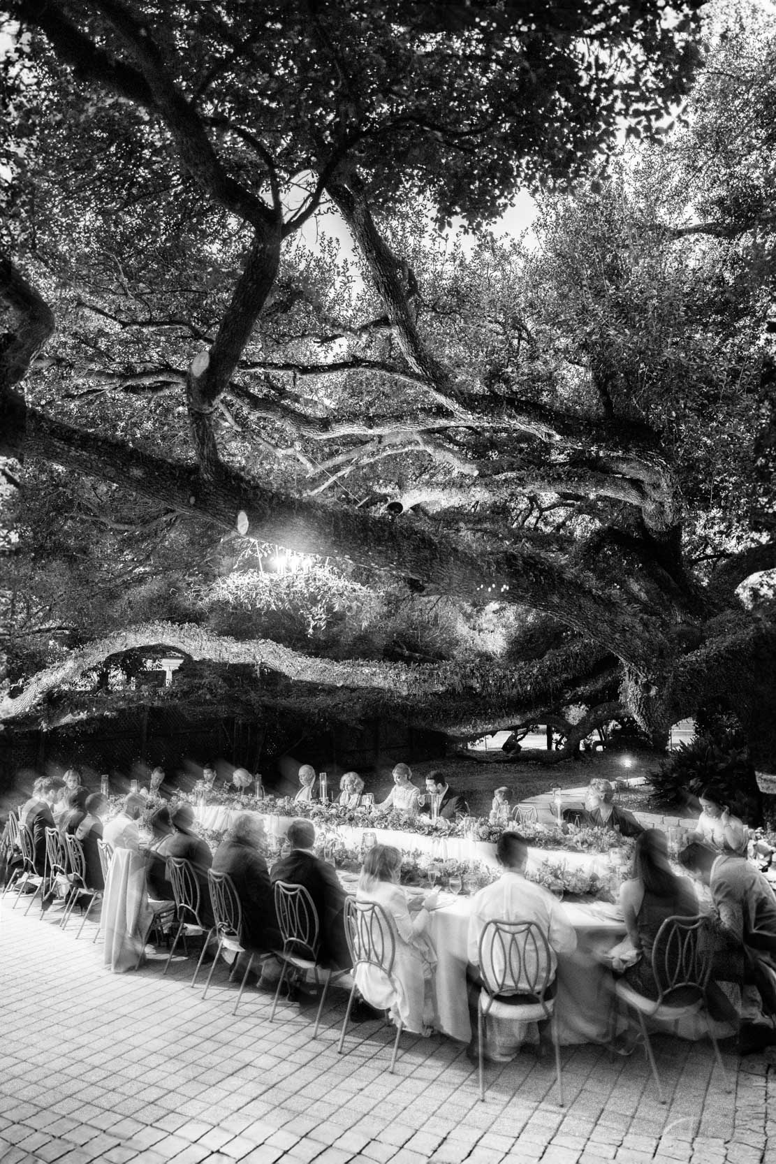 wedding dinner under large oak tree at The Greenwood Covington, Louisiana