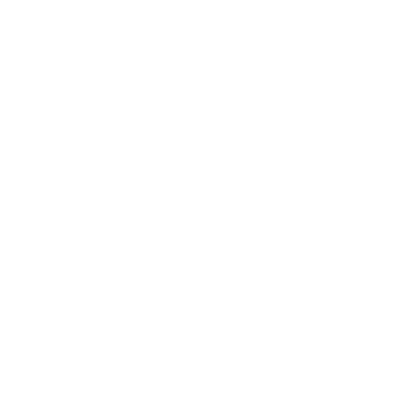 Shades of Gray Photography New Orleans logo