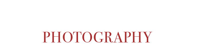 Shades of Gray Photography white logo on black background with circular New Orleans icon.